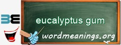 WordMeaning blackboard for eucalyptus gum